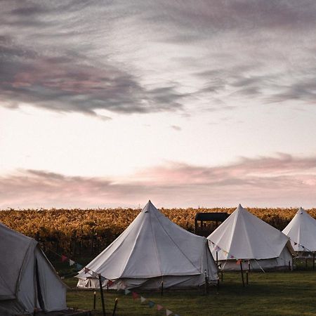 Coonawarra Bush Holiday Park Esterno foto
